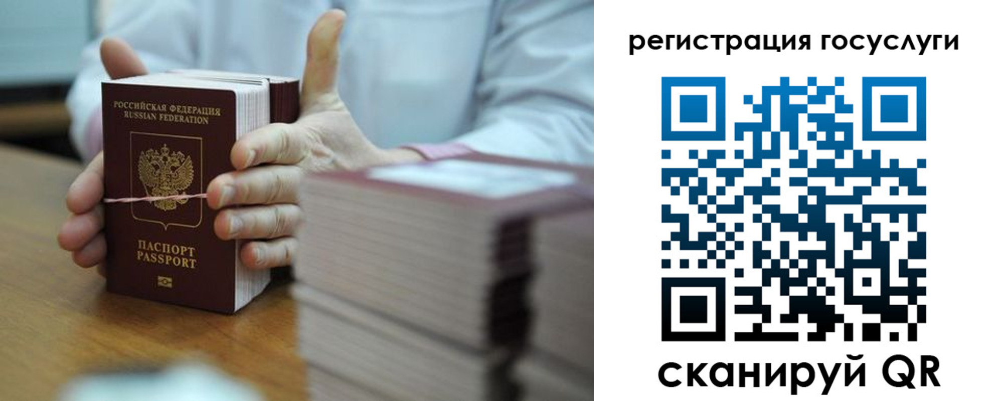 регистрация в Сельцо